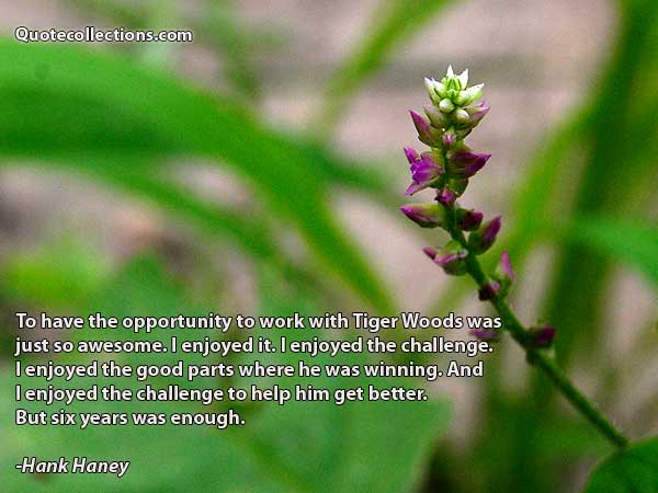 Hank Haney Quotes5